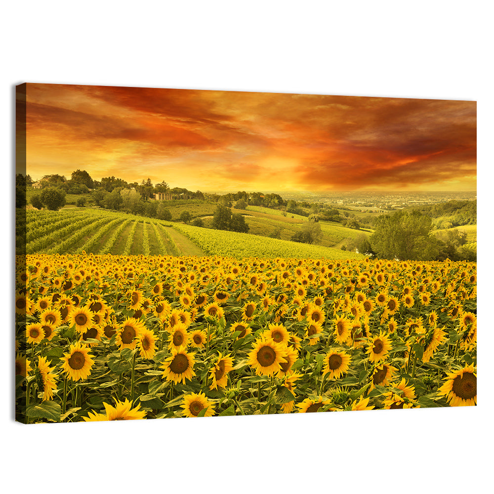 Sunflower Field at Golden Hour Wall Art, canvas print, landscape
