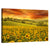 Sunflowers Fieldscape Wall Art