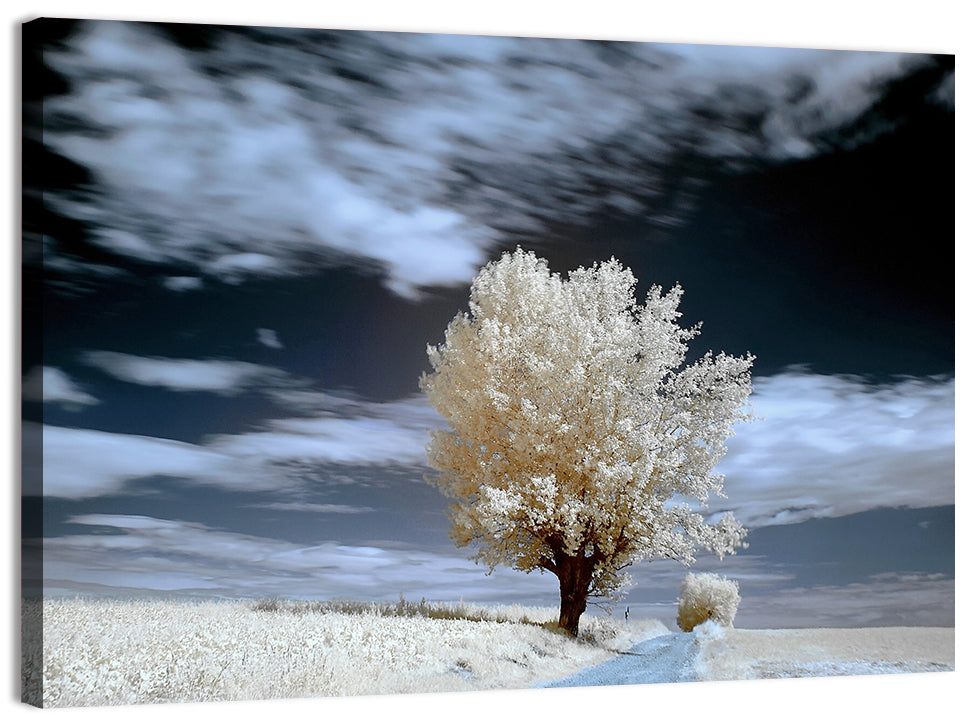 Infrared Winter Willow Tree Wall Art