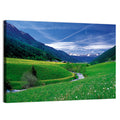 Snow-capped Peaks and Floral Meadow Wall Art