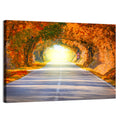 Golden Autumn Tree Tunnel Wall Art