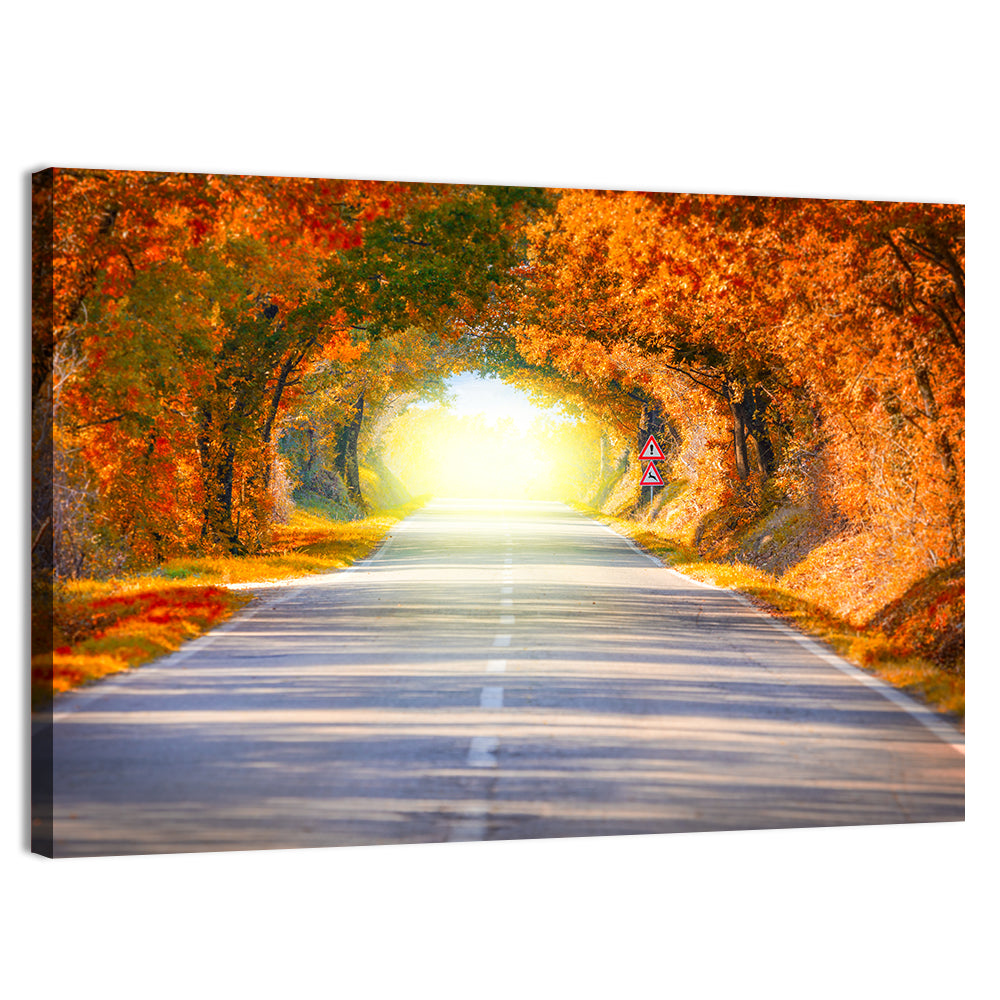 Golden Autumn Tree Tunnel Wall Art