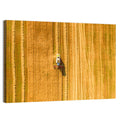 Aerial Wheat Harvest Wall Art