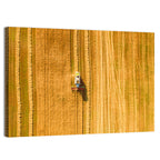 Aerial Wheat Harvest Wall Art