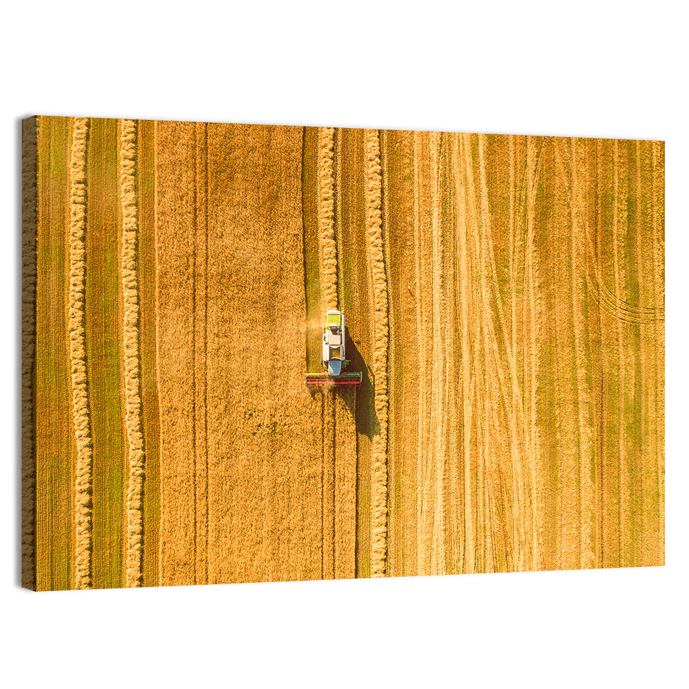 Aerial Wheat Harvest Wall Art