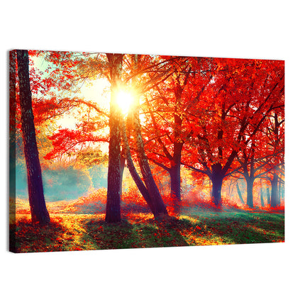 Autumn Park Sunrise Wall Art