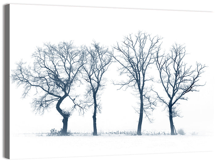 Four Bare Trees in Winter Wall Art as a canvas print