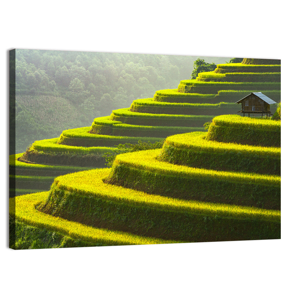 Golden Rice Terraces Wall Art, canvas print, landscape