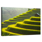 Golden Rice Terraces Wall Art