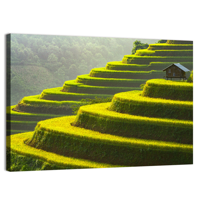 Golden Rice Terraces Wall Art as a canvas print