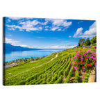 Lavaux Vineyard Terraces Over Lake Geneva Wall Art