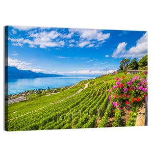 Lavaux Wine Region Wall Art