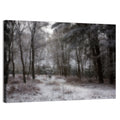 New Forest Winter Path Wall Art