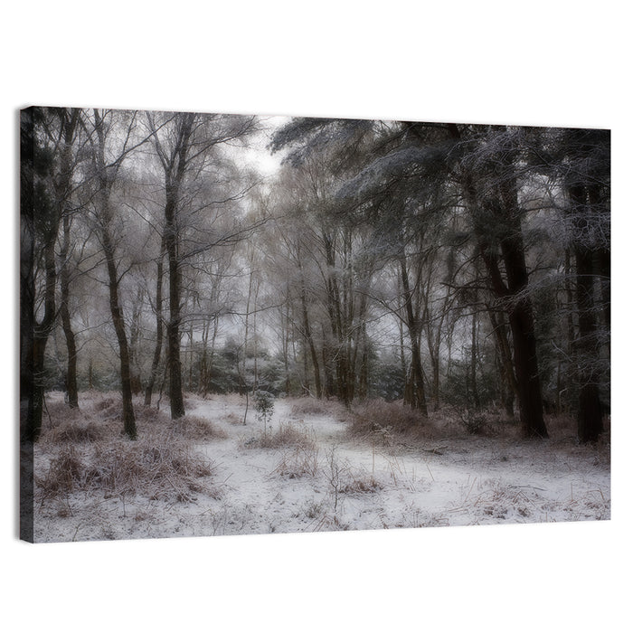 New Forest Winter Path Wall Art as a canvas print