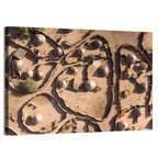 Thatched Huts in Chad Wall Art
