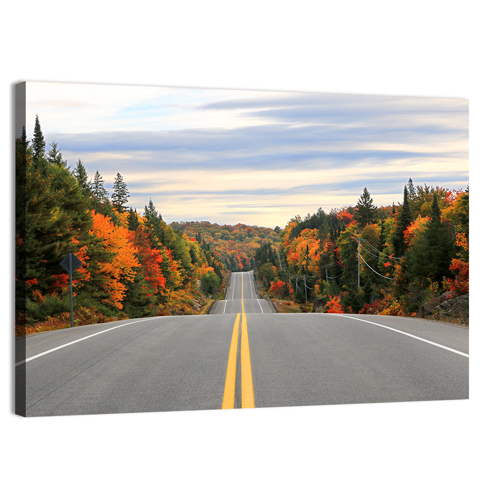 Algonquin Park Road Wall Art, canvas print, landscape