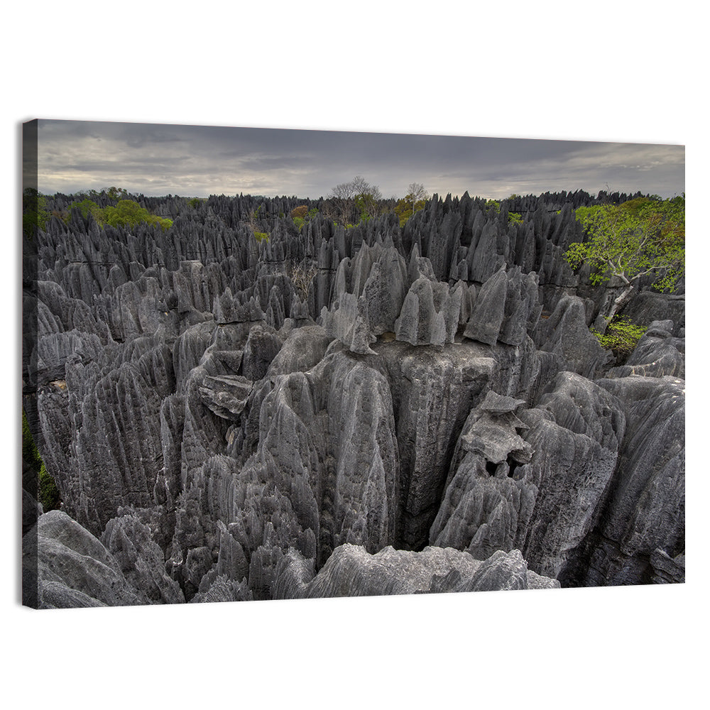 Tsingy De Bemaraha Pinnacles Wall Art
