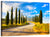 Tuscany Cypress Trees Wall Art