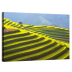 Mu Cang Chai Rice Terraces Wall Art
