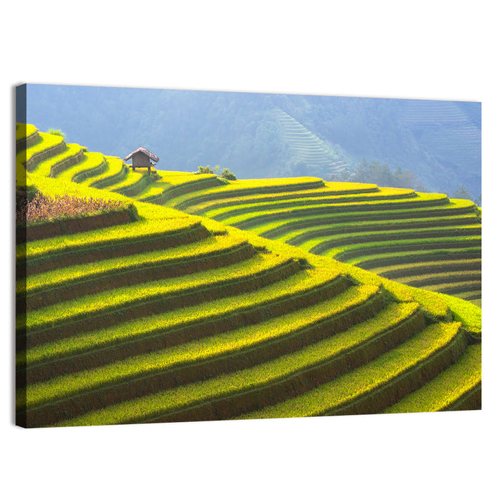 Mu Cang Chai Rice Terraces Wall Art as a canvas print