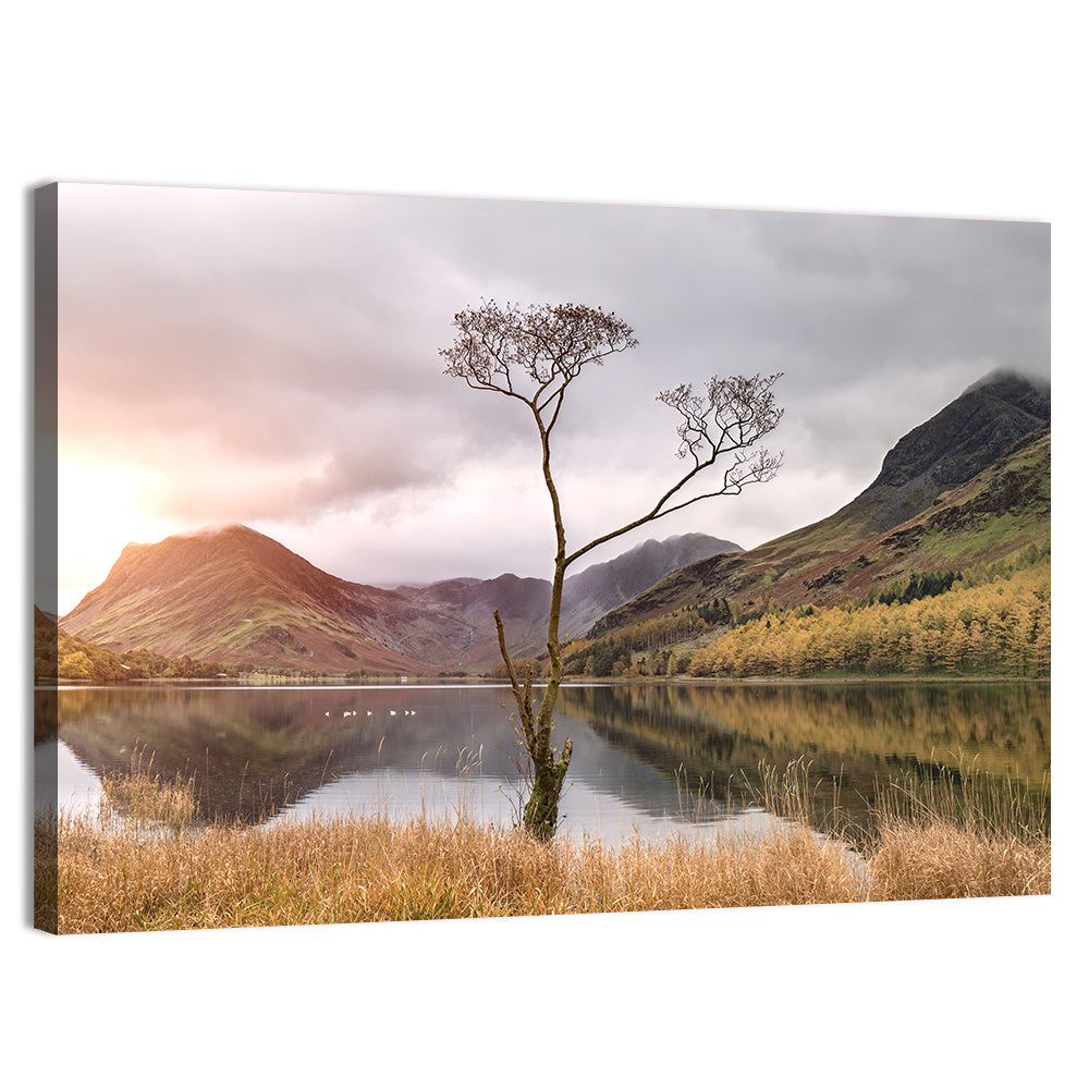 Buttermere Lone Tree at Dusk Wall Art