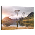 Buttermere Lone Tree at Dusk Wall Art