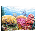 Vibrant Brain Coral Reef Wall Art
