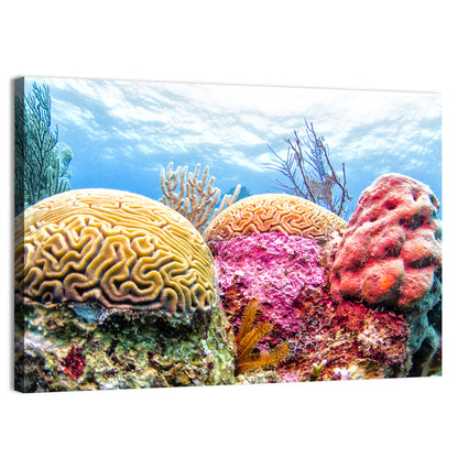 Vibrant Brain Coral Reef Wall Art