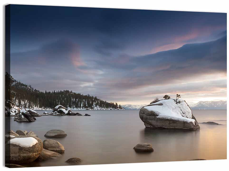 Bonsai Rock Winter Sunset Wall Art