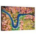 Winding Forest Road Wall Art