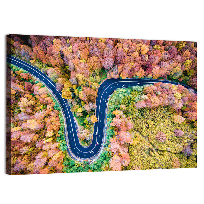 Winding Forest Road Wall Art as a canvas print