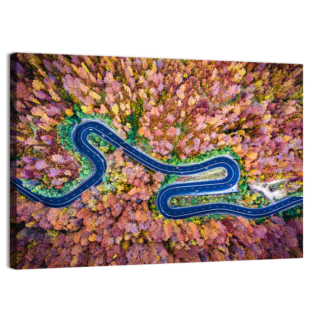 Aerial Winding Road Wall Art