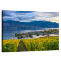 Okanagan Lake Vineyard, Kelowna Wall Art