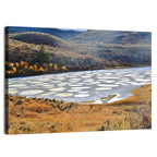 Spotted Lake Osoyoos Wall Art