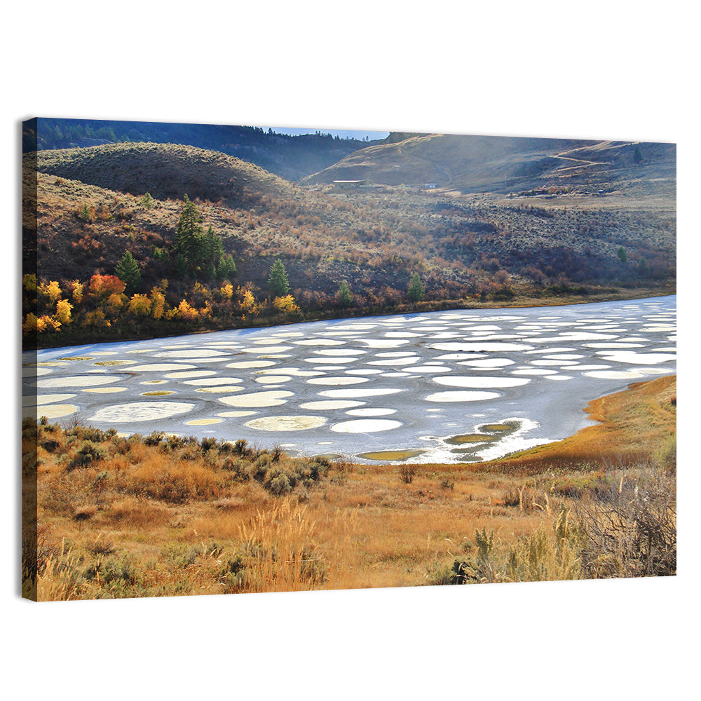 Spotted Lake Osoyoos Wall Art
