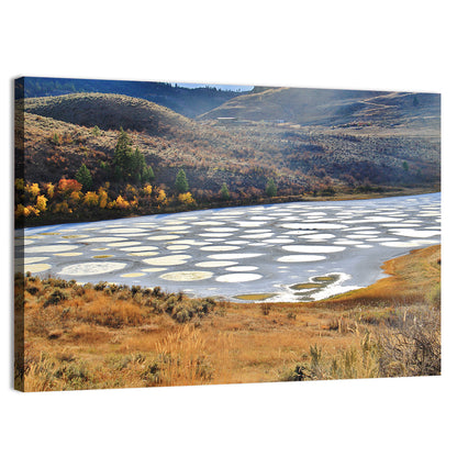 Spotted Lake Osoyoos Wall Art