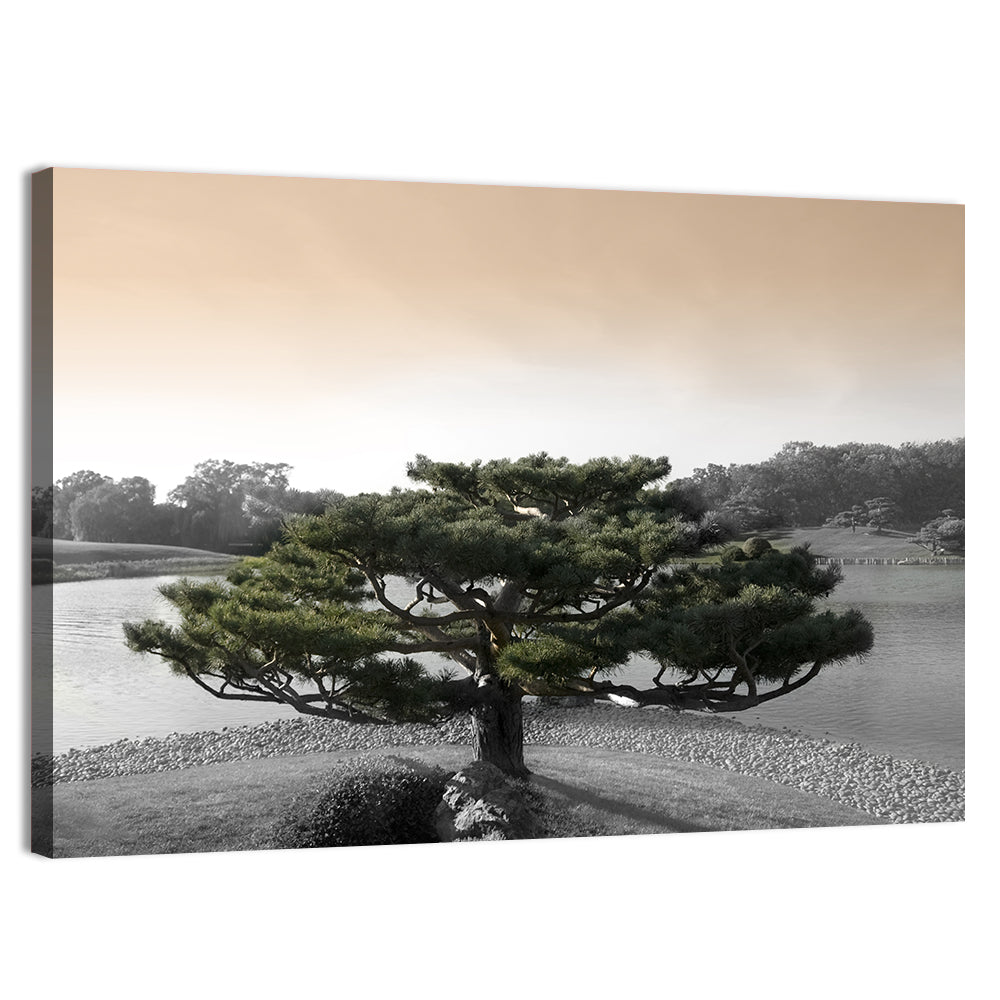 Bonsai Pine in Japanese Garden Wall Art