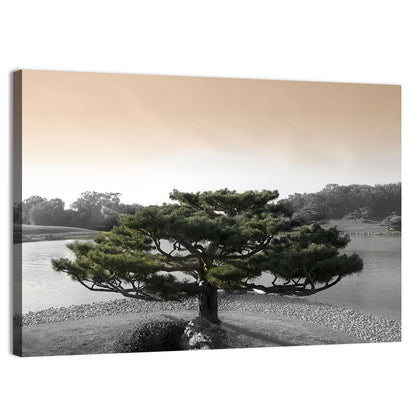 Bonsai Pine in Japanese Garden Wall Art