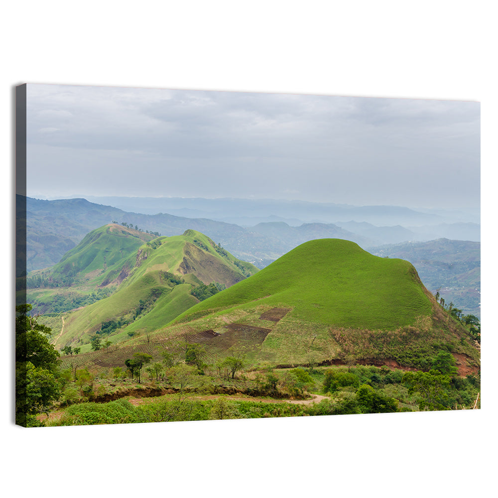 Rolling Summer Hills Wall Art, canvas print, landscape