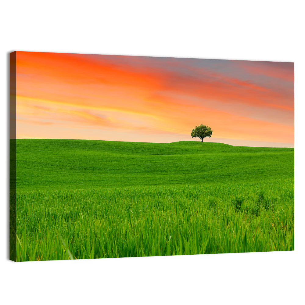 Tuscany Sunset Hills Wall Art