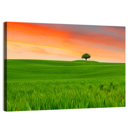 Tuscany Sunset Hills Wall Art