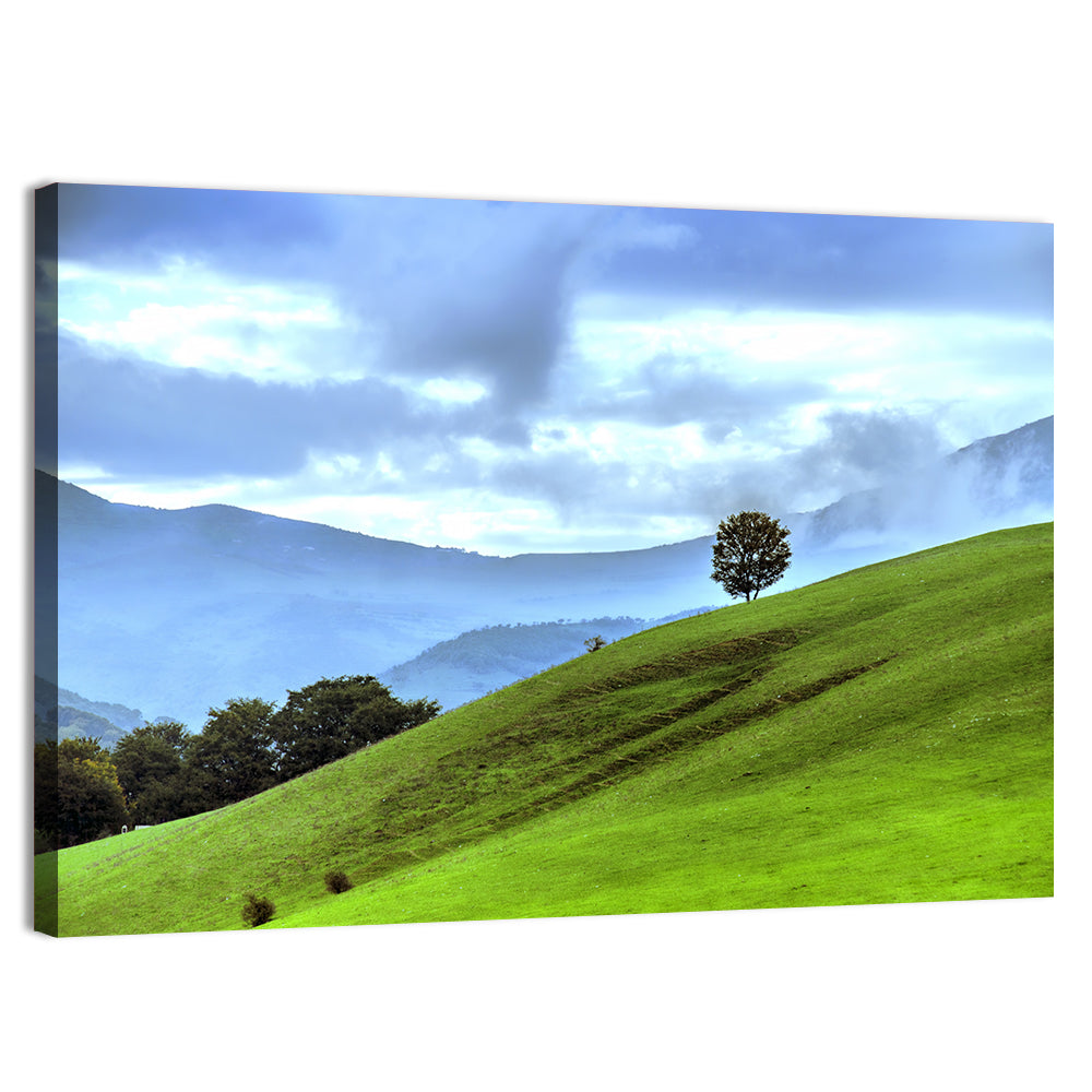 Talish Hillside with Lone Tree Wall Art