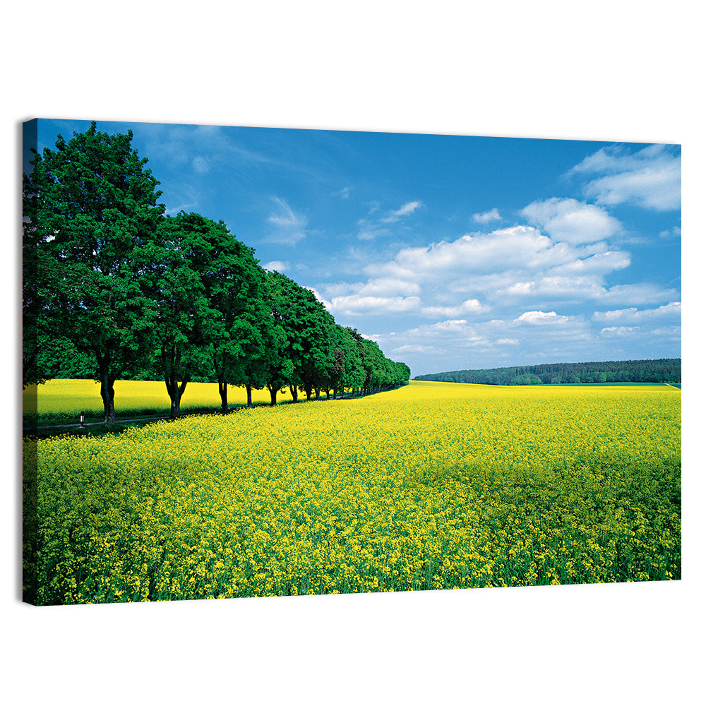 Spring Field of Yellow Flowers Wall Art