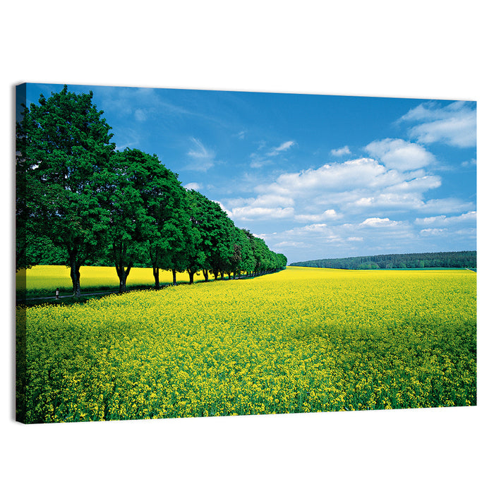 Spring Field of Yellow Flowers Wall Art as a canvas print