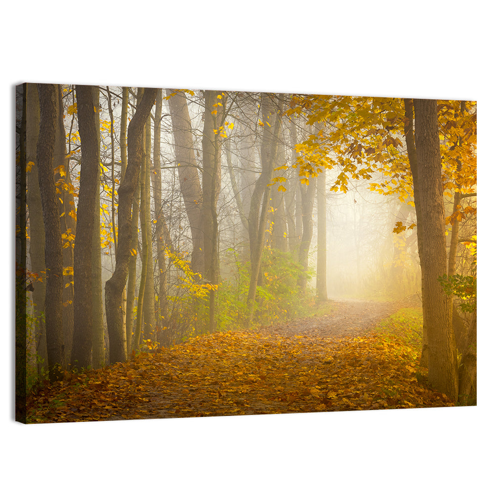 Cuyahoga Valley Autumn Path Wall Art, canvas print, landscape