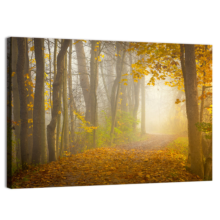 Cuyahoga Valley Autumn Path Wall Art as a canvas print