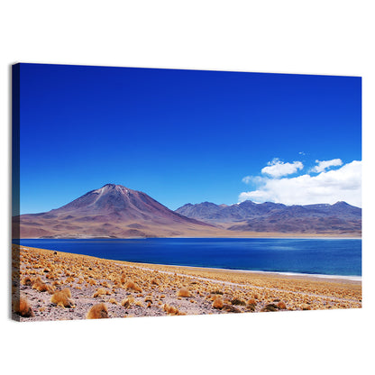 Miscanti Lagoon and Miñiques Volcano Wall Art