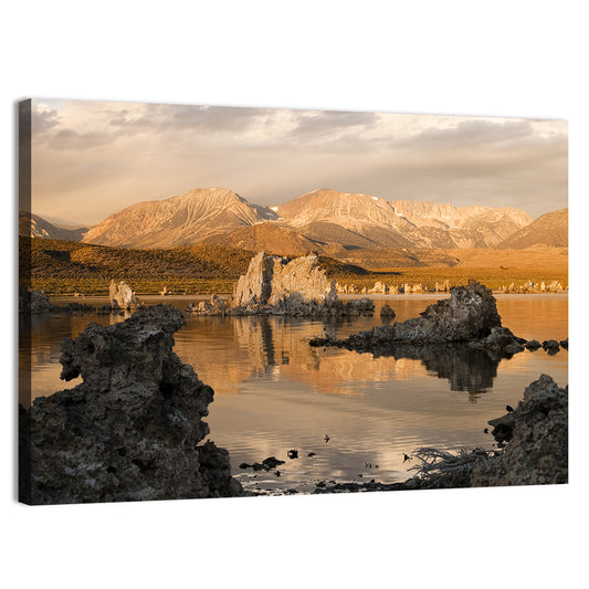 Mono Lake Tufa at Golden Hour Wall Art