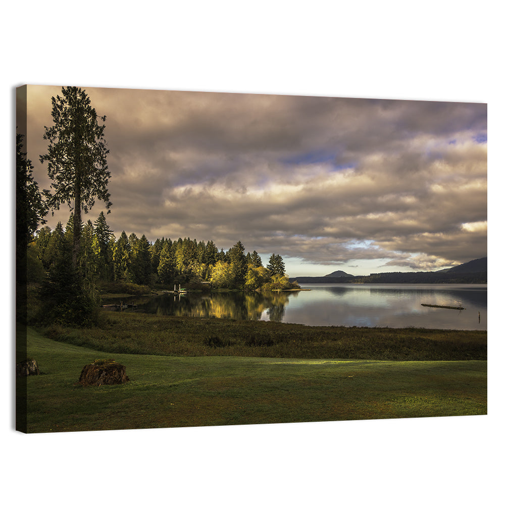 Lake Quinault Reflections Wall Art