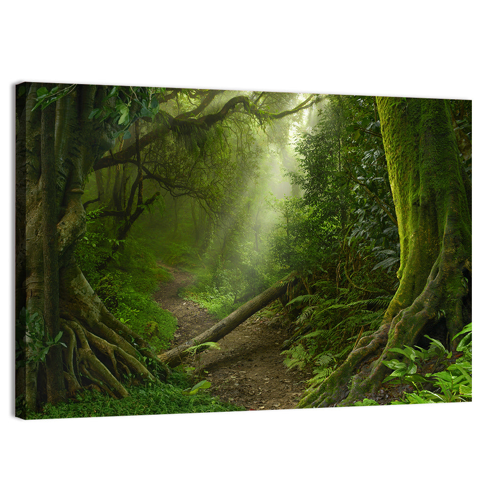 Moss-covered Rainforest Path Wall Art